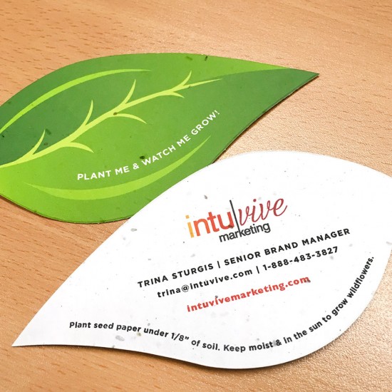 Break the norm and make an impact with these unique Leaf Shape Seed Paper Business Cards that were made to send a green message that is both fresh and professional.