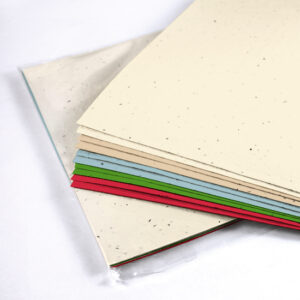 Pick your favorite color theme for your next project with these Colored Seed Paper Sets.