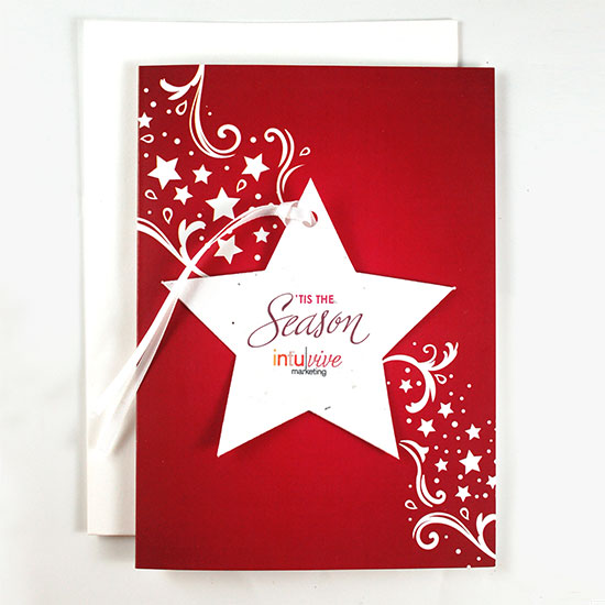 Share a holiday greeting and a gift that grows with clients, staff and colleagues with these Season Star Ornament Business Holiday Cards.