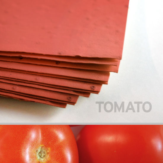 Each sheet of 11 x 17 Brick Red Tomato Plantable Seed Paper is embedded with NON-GMO seeds that grow juicy tomatoes.