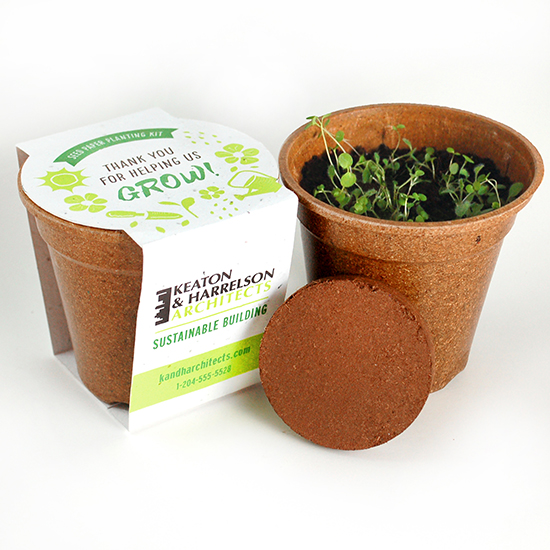 Wildflower Seed Paper Sprouter Kits are eco-friendly corporate gifts that will show appreciation and demonstrate your sustainability commitment in a unique way.
