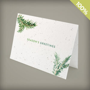 Evergreen Greetings Business Holiday Cards