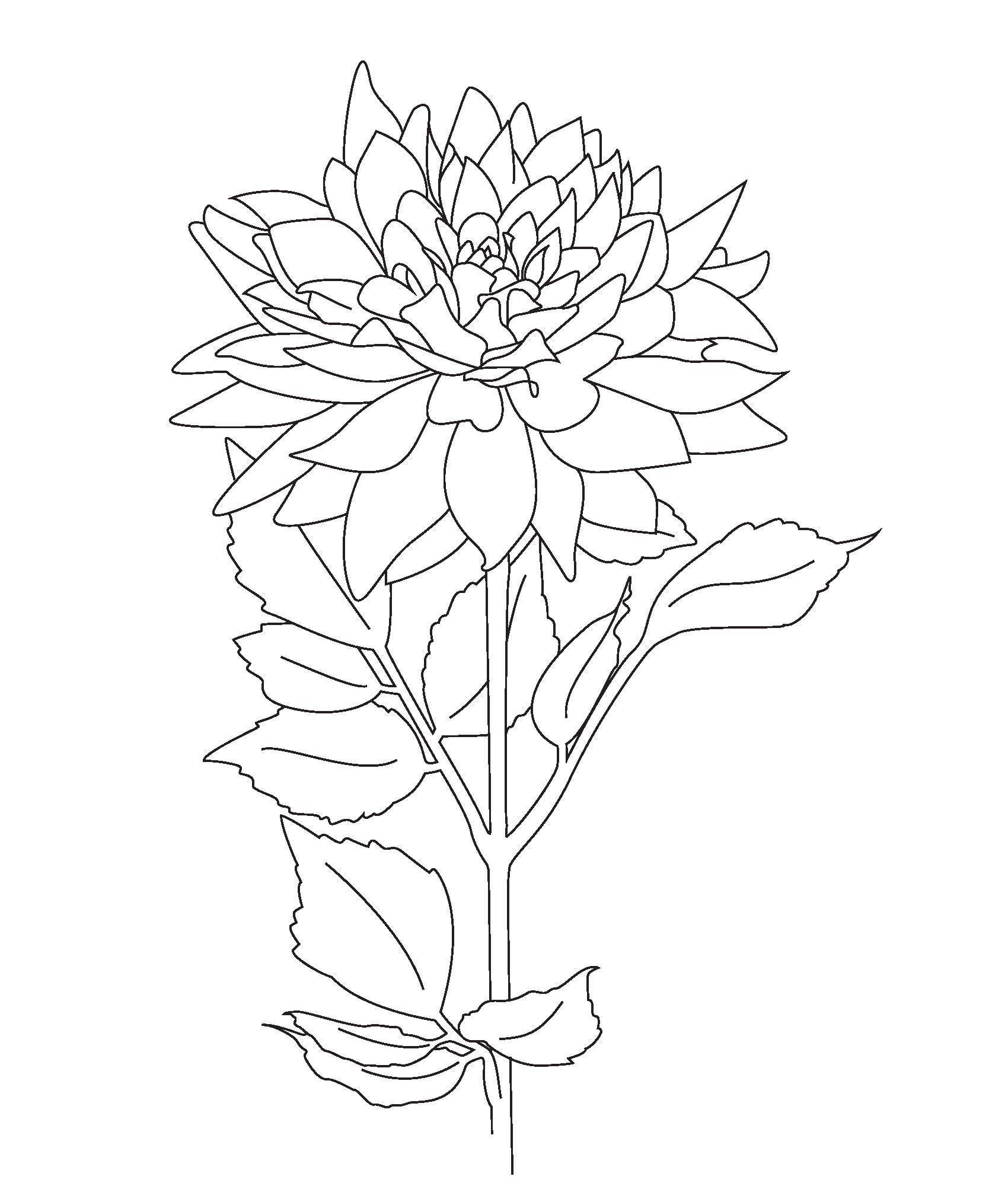  Free Printable Botanical Coloring Pages Free Download Gmbar co