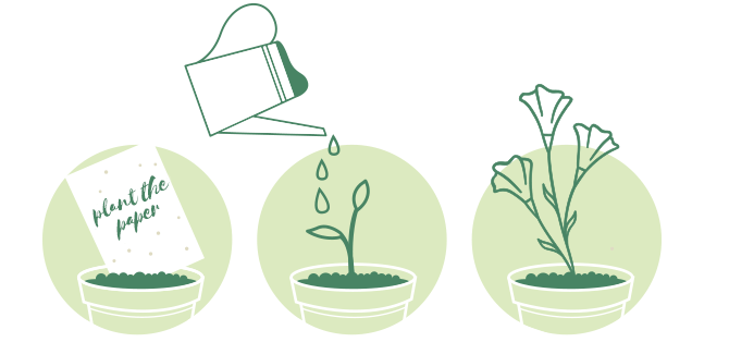 How Plantable Paper Works - Botanical PaperWorks