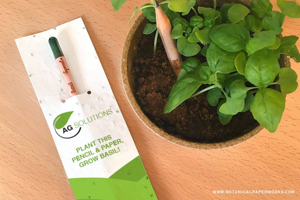 A plantable pencil with a pot of basil growing — a promotional product for the agriculture industry.
