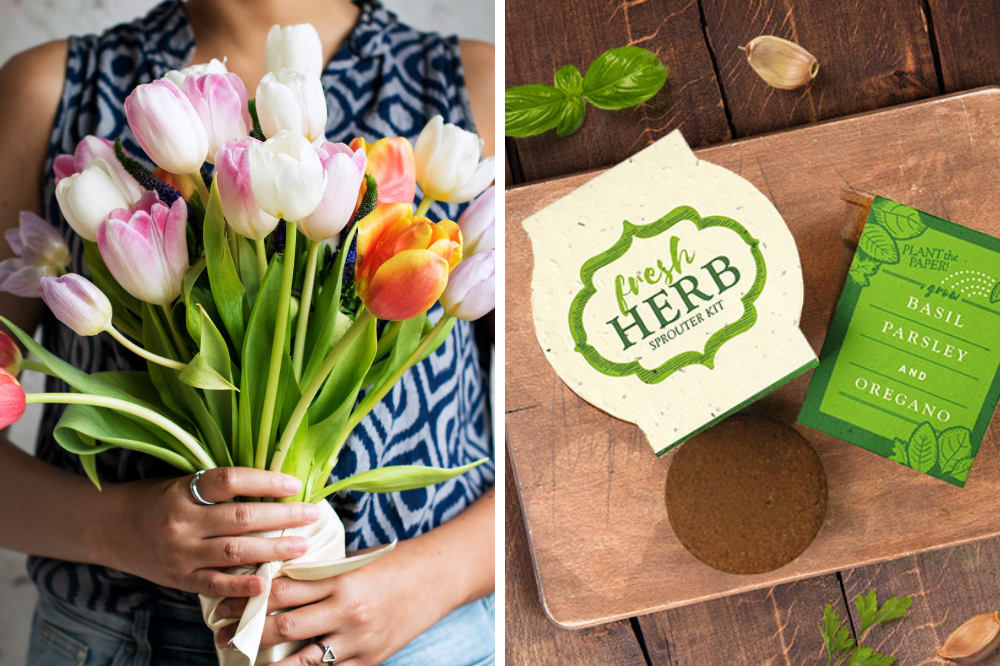 herb sprouter grow kit and a bouquet of flowers
