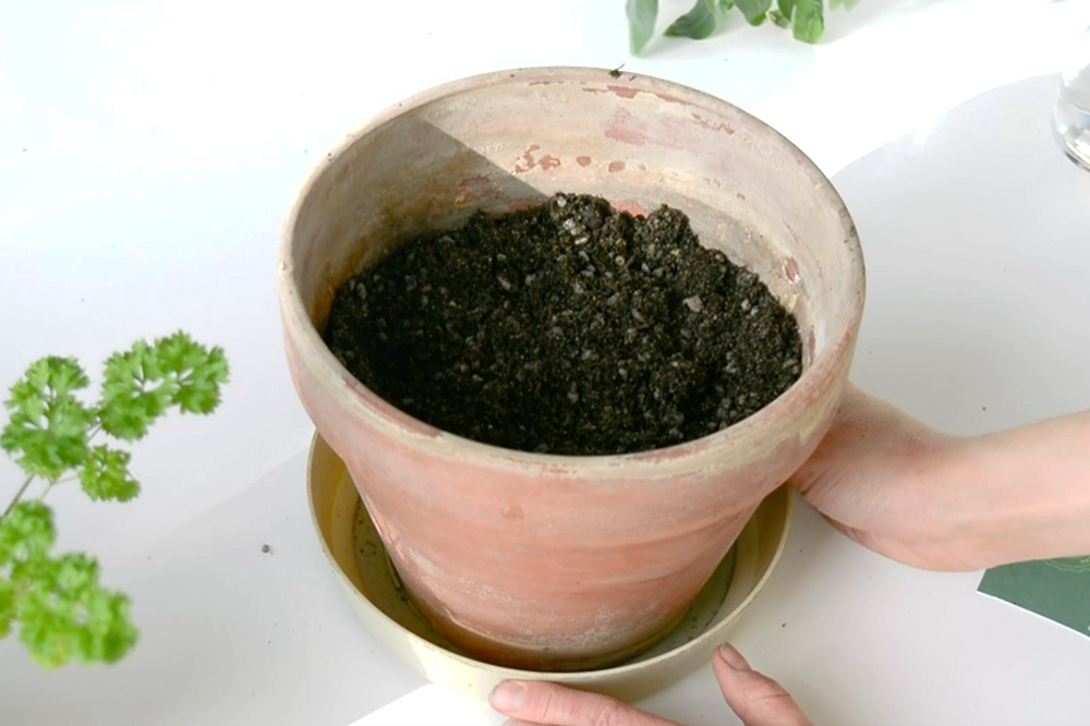 a DIY indoor potting soil mix with sand, lava rock, and organic potting soil