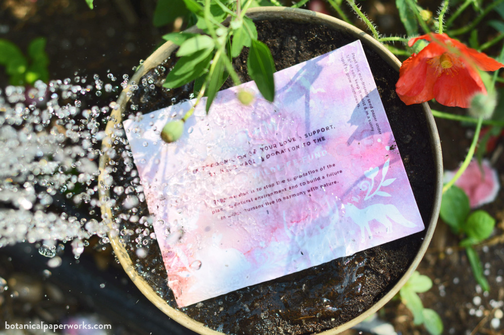 plantable seed paper wedding save the date cards
