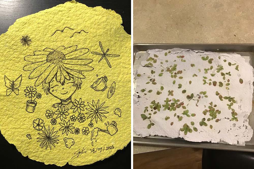 Seed papermaking examples from a workshop lead by Botanical PaperWorks for CAGIS