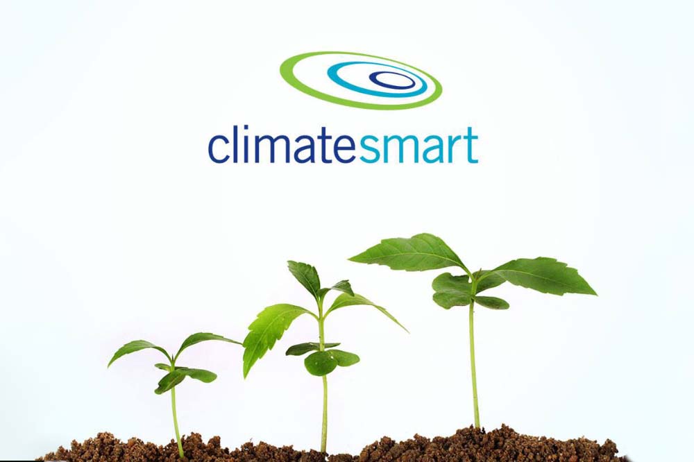 Climate Smart logo above sproutting plants 