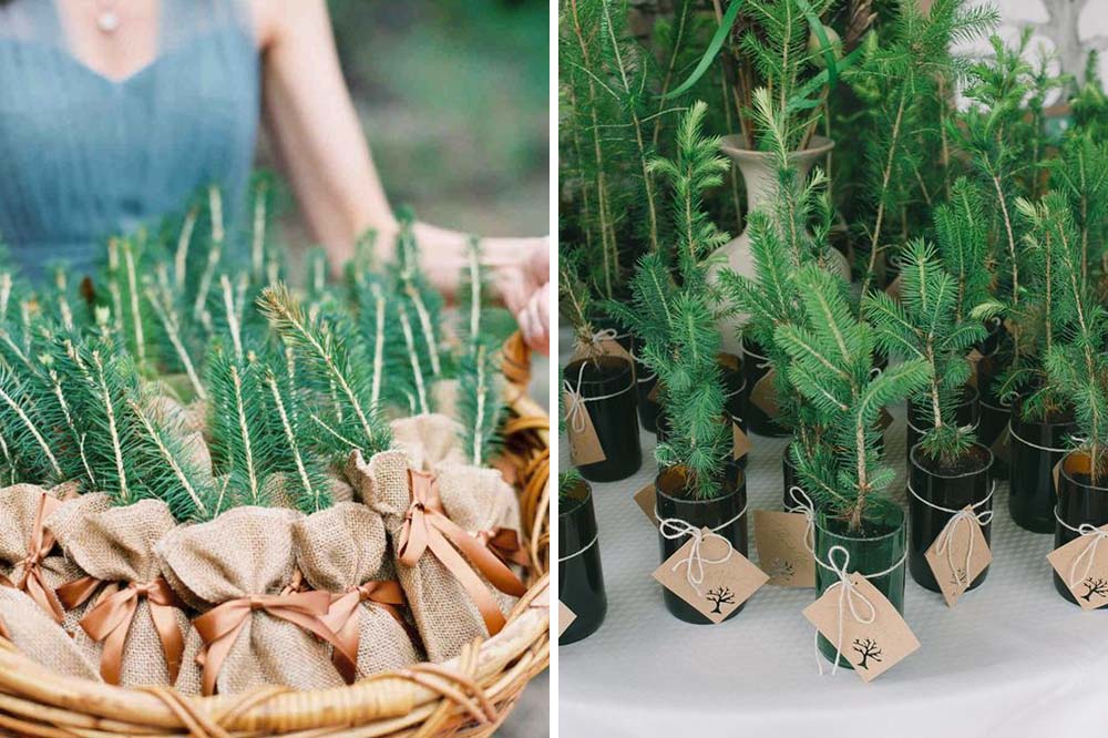 Thoughtful Plant Wedding Favors that Grow & Last - Botanical PaperWorks
