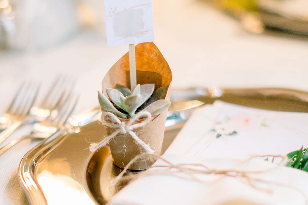 plant wedding favor with succulet on a table