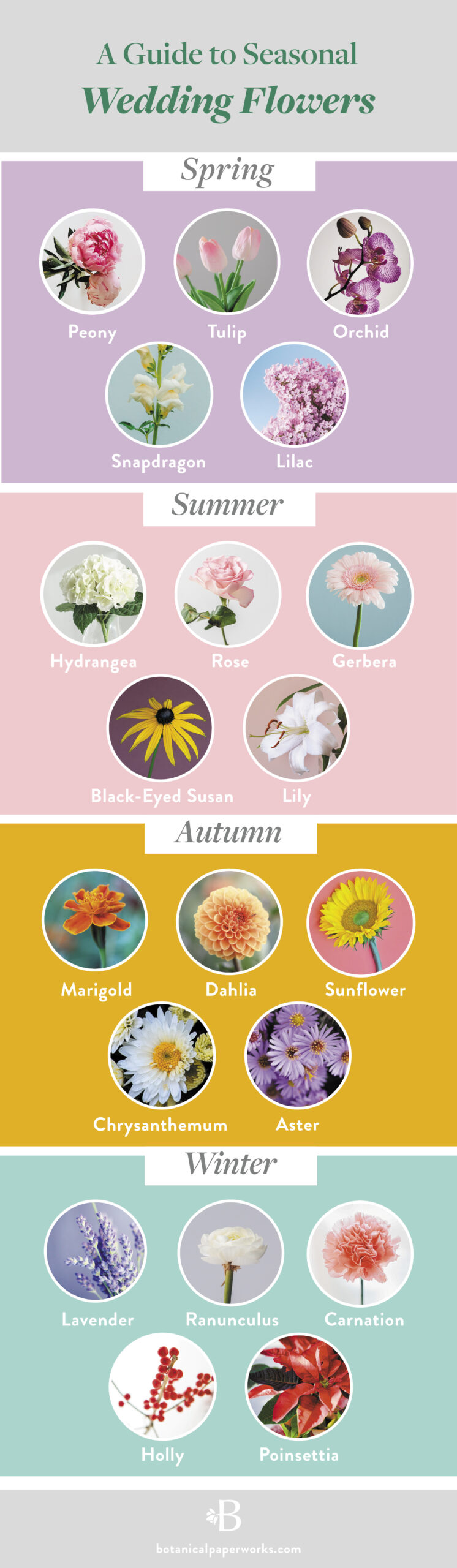seasonal wedding flowers infographic