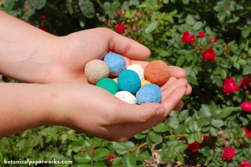 plantable seed bombs for summer promotional products