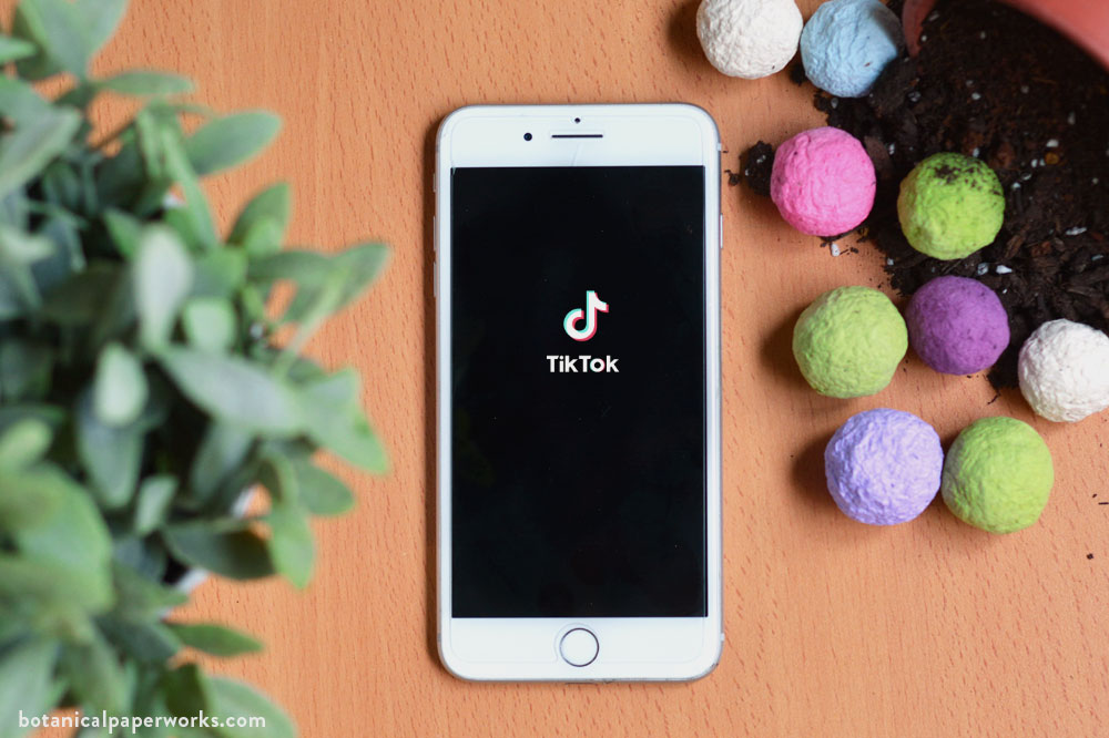 an iPhone showing the TikTok logo next to seed bombs and a plant