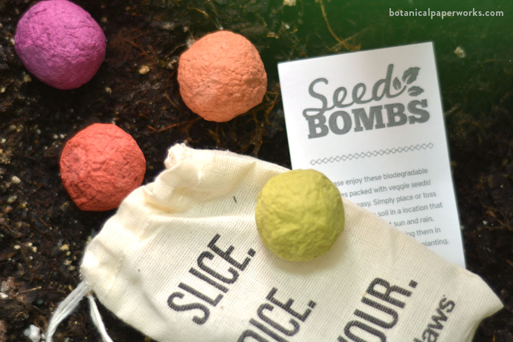 planting seed bombs from Botanical PaperWorks in soil