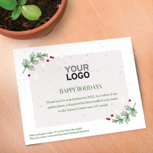 Festive Touch Plantable Donation Cards