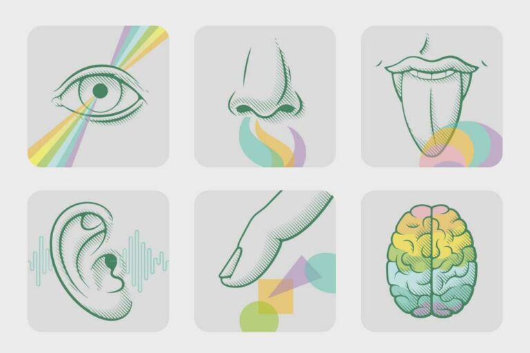 Five senses of the human body in separate image blocks to show multi-sensory marketing