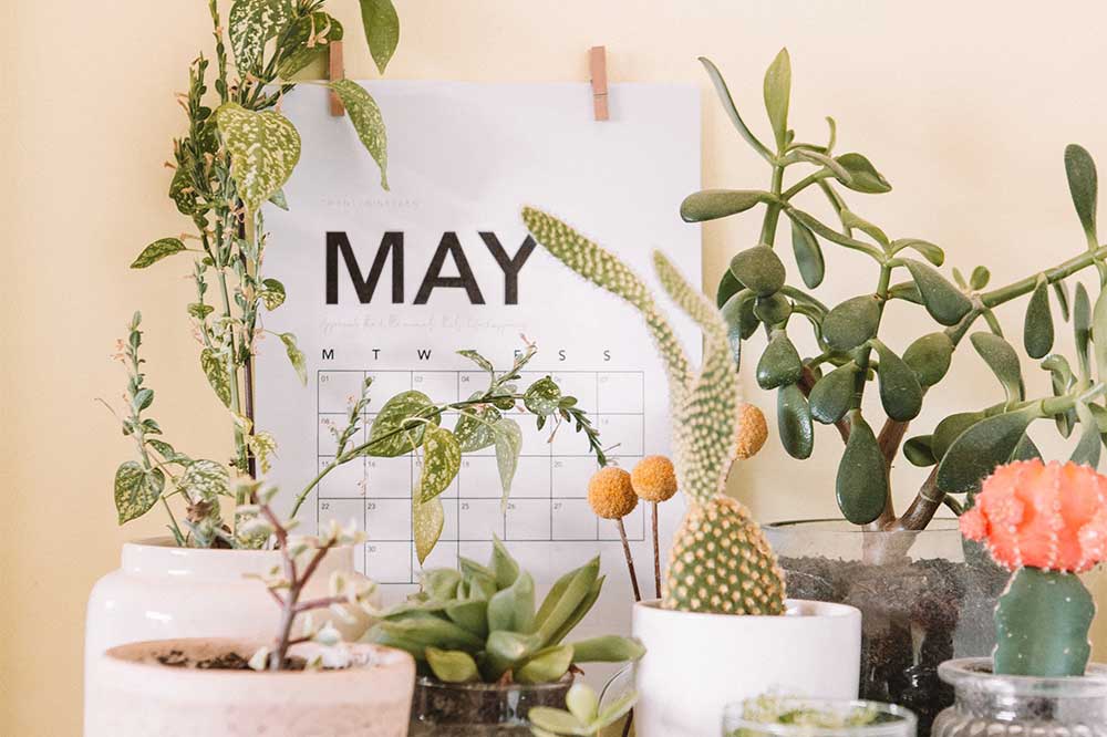 Calendar with plants around it