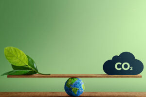 carbon reduction ideas for businesses to save the planet while staying in business