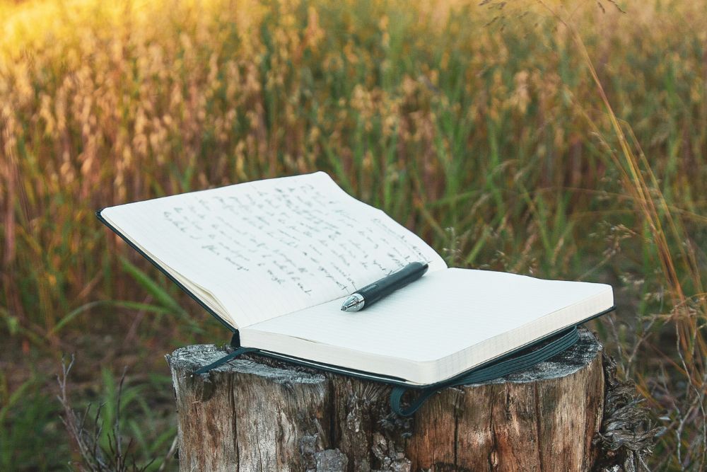 writing poetry in a field