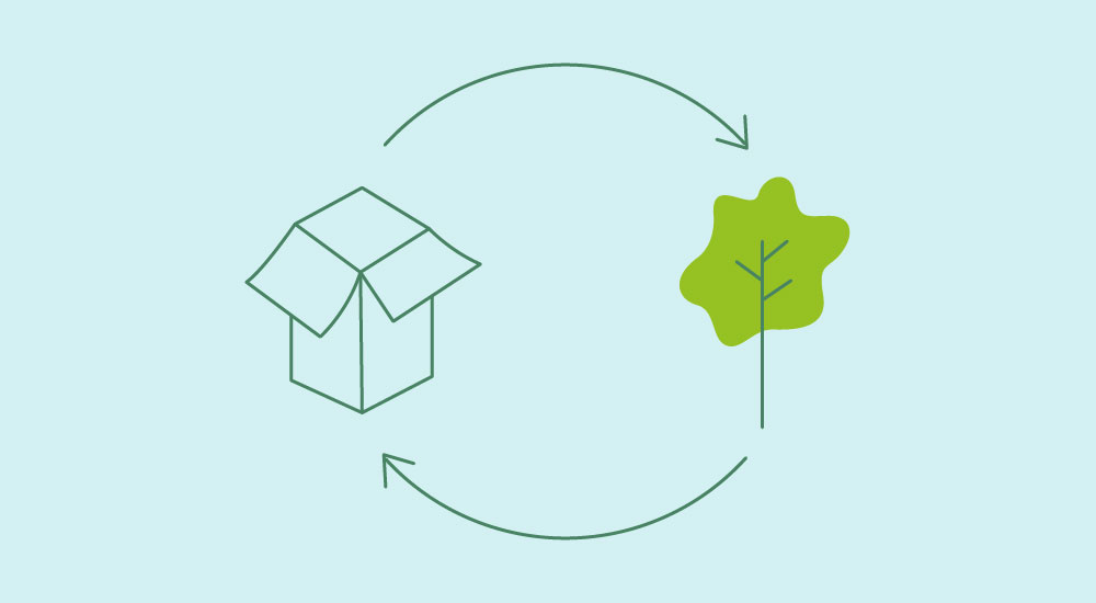 illustration of a box and a tree going through a life cycle circle with directional arrows