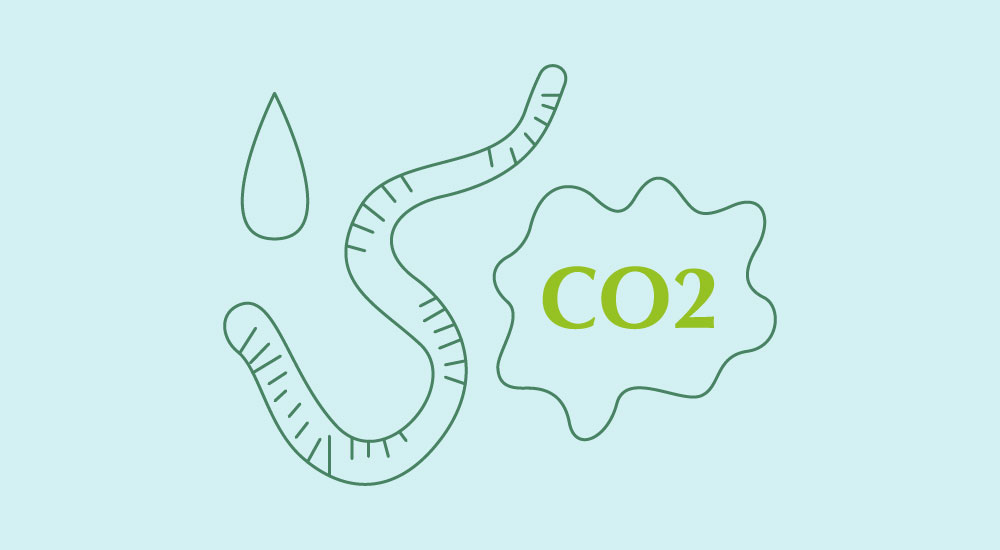 illustration of a water drop, an earth worm and "CO2" in a bubble