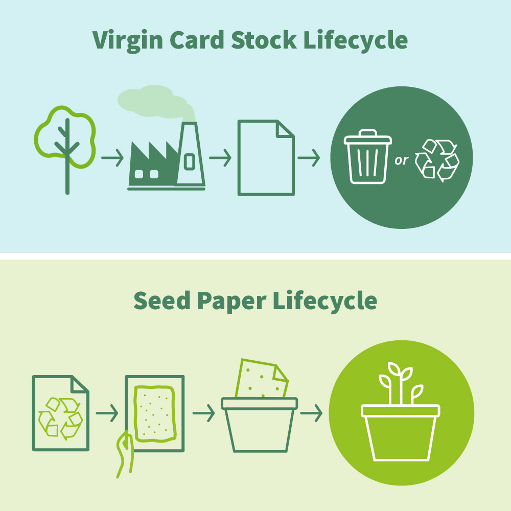 Graphic showing the lifecycle of seed paper vs traditional virgin card stock