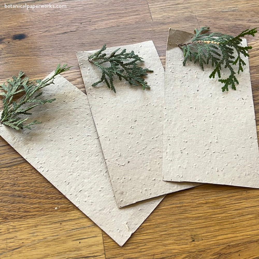 Three place cards with foliage at the top. Laid out on a wooden table.