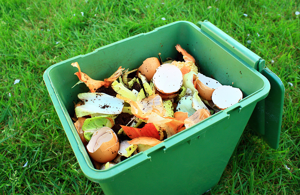 Green composting bin of house hold food scraps