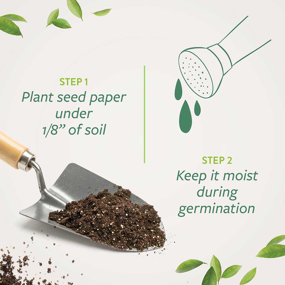 Plantable Earth Day Promotions | Botanical PaperWorks