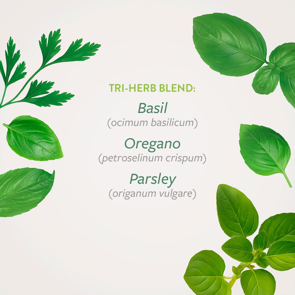 Rustic Tree Plantable Wedding Invitation | Plantable Wedding Invitations |  Catalog | Botanical PaperWorks, image size:1000x1000