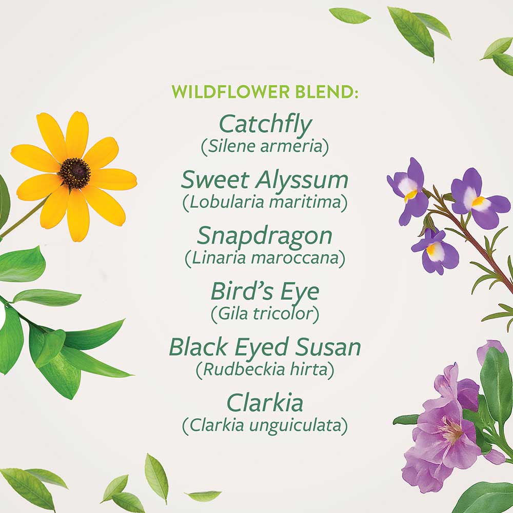 Save The Bees Plantable Wedding Favors - Botanical PaperWorks