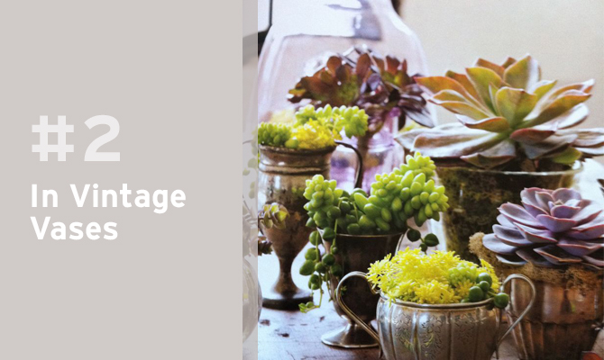 Loving these succulents in vintage vases. 