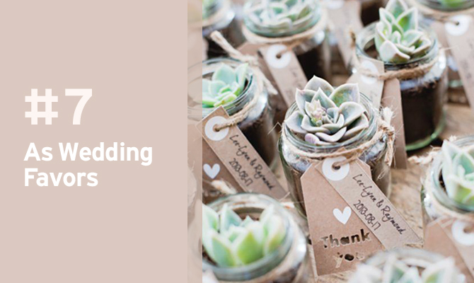 These lovely succulent favors are perfect for a rustic yard wedding. 