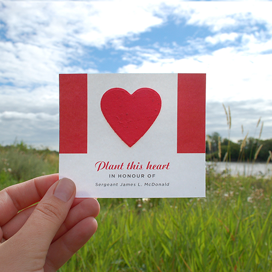 These new cards for veteran memorial services will let attendees plant the seed paper heart as a symbol of their love and devotion to the country they served. American design also available! 