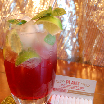 Cinnimon Basil Mojito made with herbs grown from Cinnamon Basil Holiday Matchstick Garden by Botanical PaperWorks