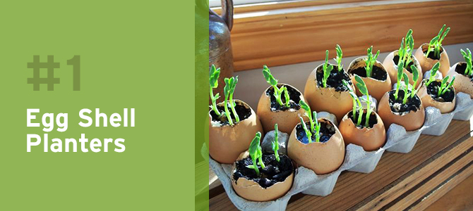 Egg shell planters are a great way to get kids involved in the summer growing season!