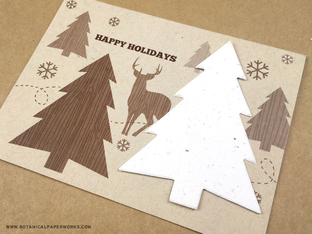 Eco-friendly Business Holiday Cards That Grow & Tips For Sending Them