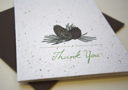 pinecone plantable thank you card