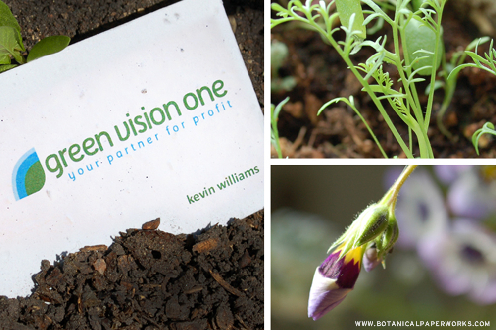 Contact us today to order your own Seed Paper Business Cards and get ready to watch your business grow good things!