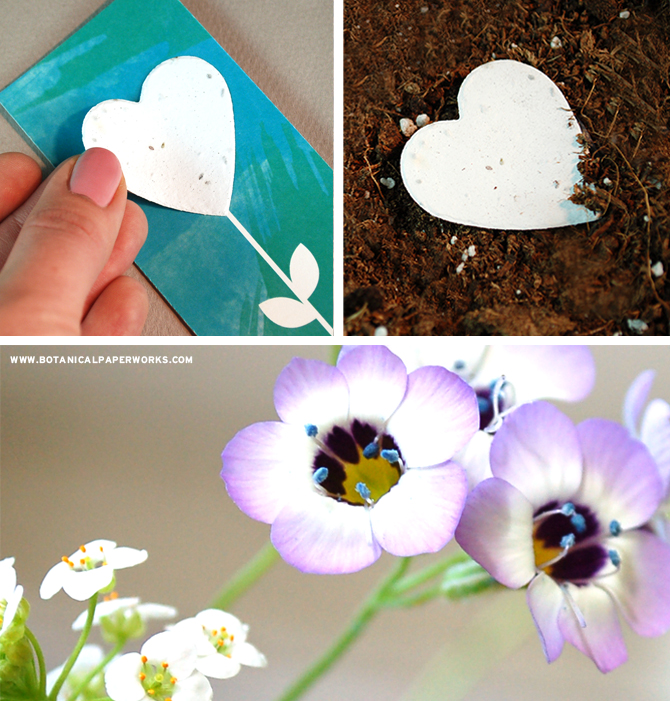 Seed Paper Wedding Favor include a shape that your guests can plant to grow wildflowers.