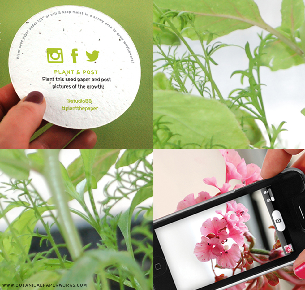 #Seedpaper promotional products from Botanical PaperWorks deliver more than a green message - they actually give the recipient the opportunity to interact with your brand on a level few products can! Learn more about how you can generate social buzz with your promotional products.