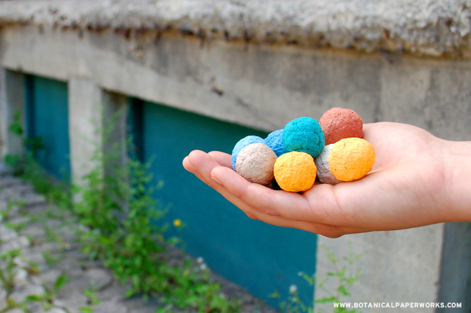 Seed Bombs or seed balls, are small clusters of wildflower seeds that are designed to spread greenery and bring life and pollinator habitats to urban lanscapes or neglected areas.