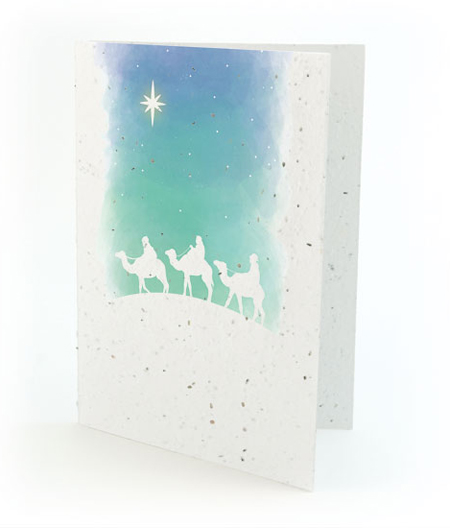 Wisemen Plantable Personalized Christmas Cards