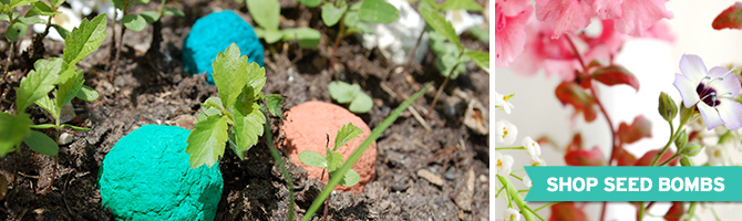 Seed bombs packed with seeds that will spread greenery and add colorful habitats to urban landscapes or neglected areas.