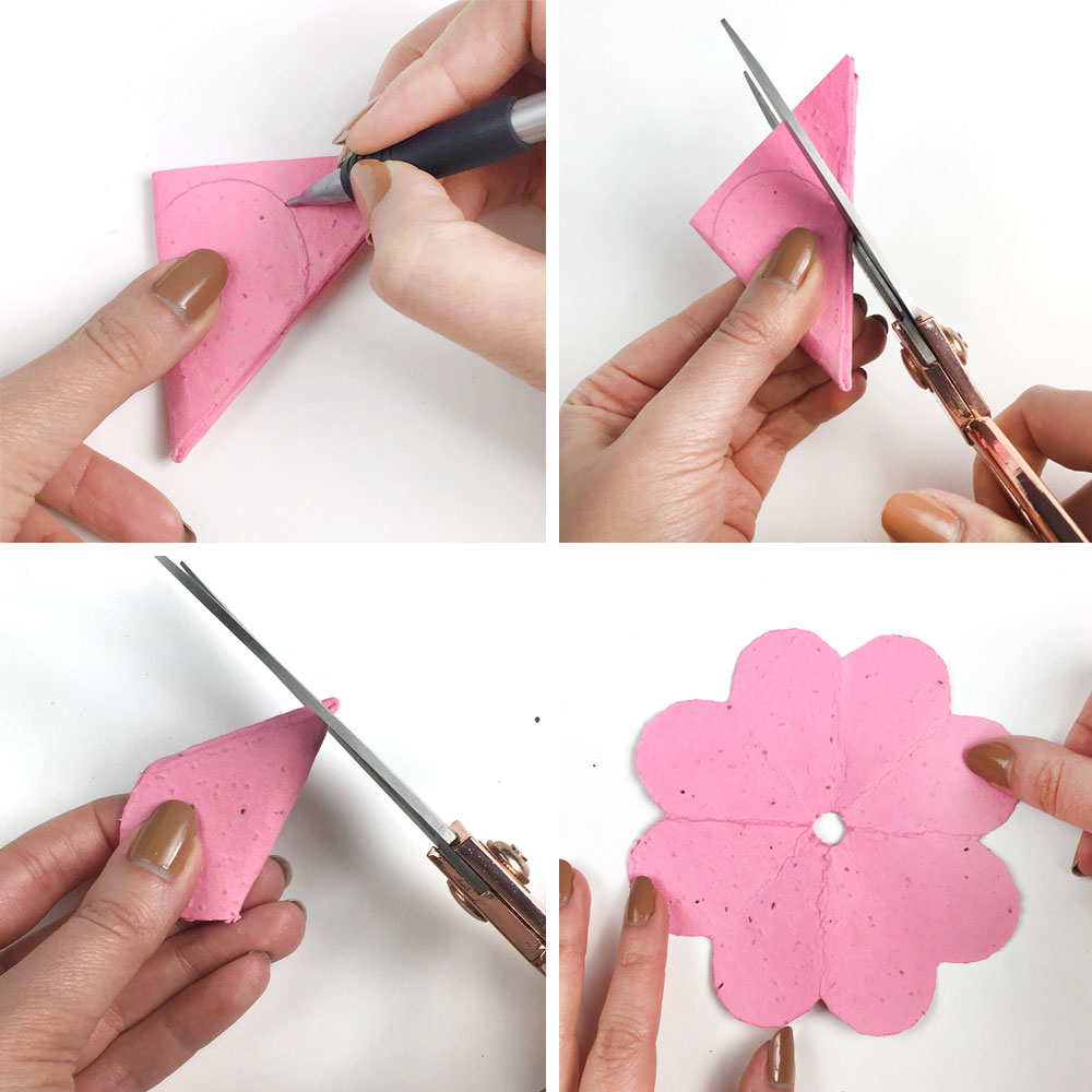 cutting seed paper for flower craft